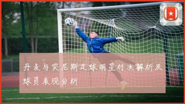丹麦与突尼斯足球明星对决解析及球员表现分析