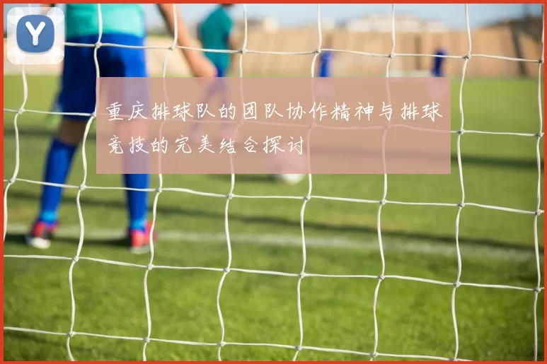 重庆排球队的团队协作精神与排球竞技的完美结合探讨