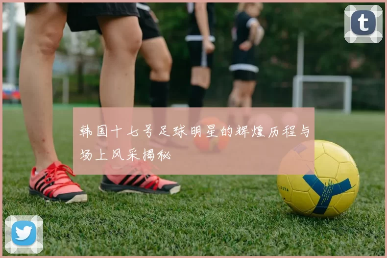 韩国十七号足球明星的辉煌历程与场上风采揭秘