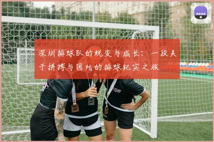 深圳排球队的蜕变与成长：一段关于拼搏与团结的排球纪实之旅