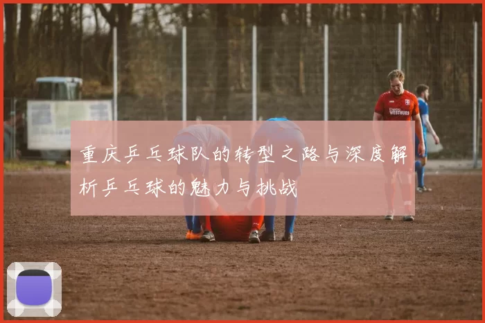重庆乒乓球队的转型之路与深度解析乒乓球的魅力与挑战