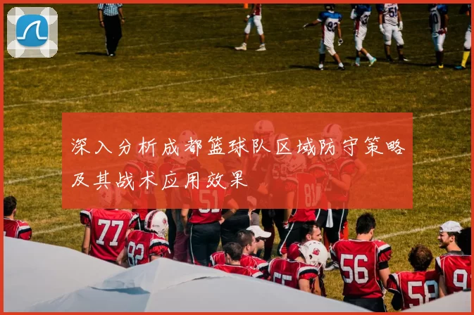 深入分析成都篮球队区域防守策略及其战术应用效果