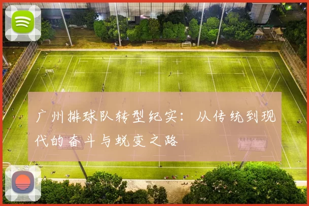 广州排球队转型纪实：从传统到现代的奋斗与蜕变之路