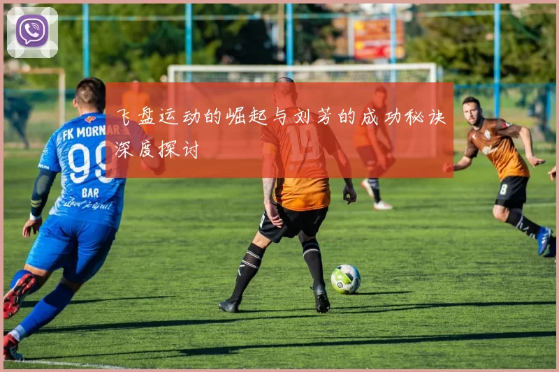 飞盘运动的崛起与刘芳的成功秘诀深度探讨