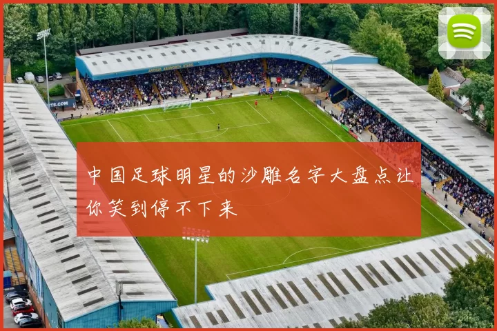 中国足球明星的沙雕名字大盘点让你笑到停不下来