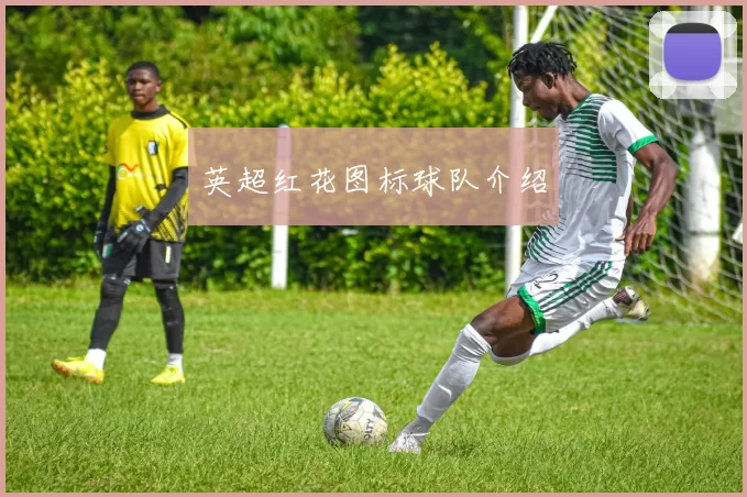 英超红花图标球队介绍