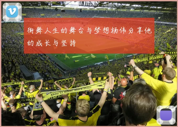 街舞人生的舞台与梦想杨伟分享他的成长与坚持