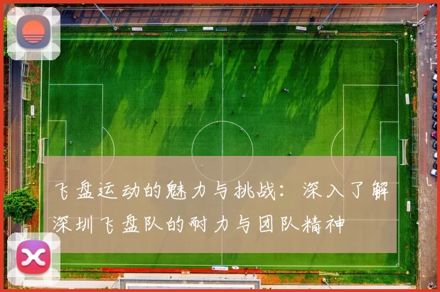 飞盘运动的魅力与挑战：深入了解深圳飞盘队的耐力与团队精神