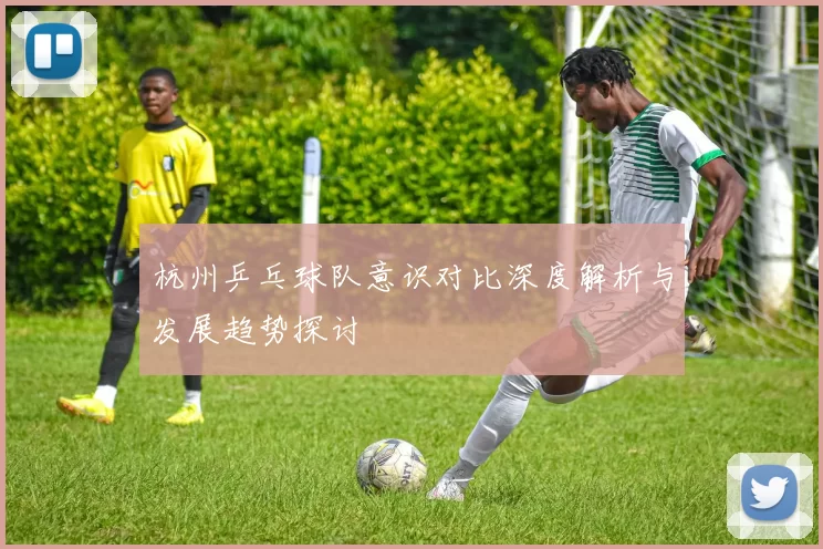 杭州乒乓球队意识对比深度解析与发展趋势探讨