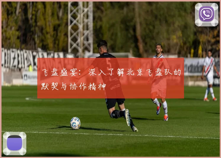 飞盘盛宴：深入了解北京飞盘队的默契与协作精神