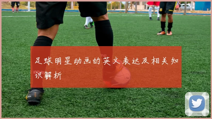 足球明星动画的英文表达及相关知识解析