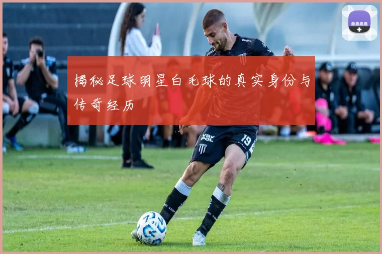 揭秘足球明星白毛球的真实身份与传奇经历