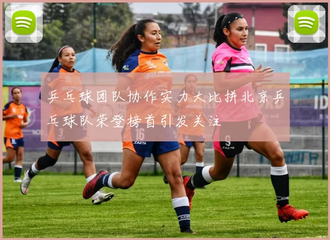 乒乓球团队协作实力大比拼北京乒乓球队荣登榜首引发关注