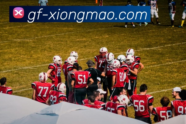 熊猫体育品牌故事