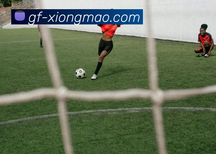 熊猫体育服务体系